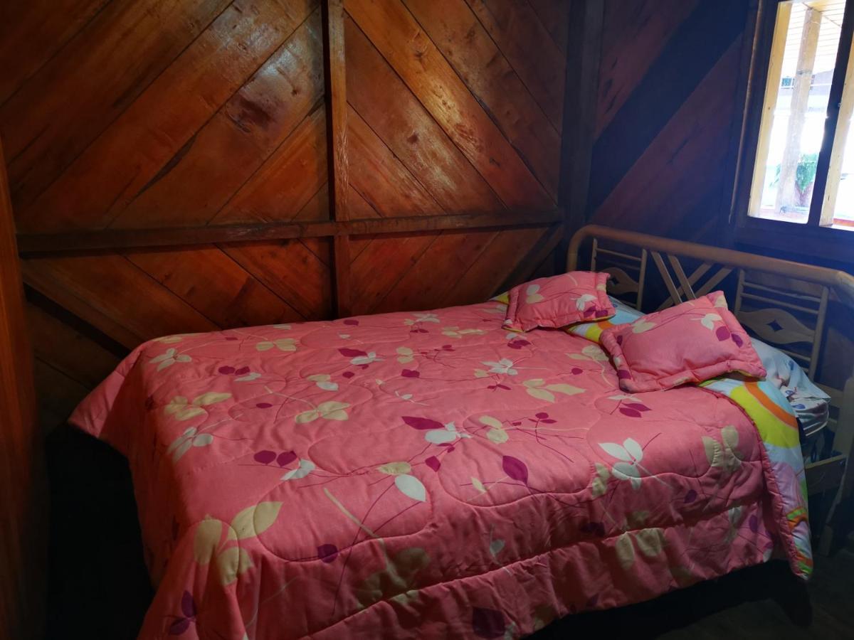 La Tranquilidad Hostel Mindo Bagian luar foto